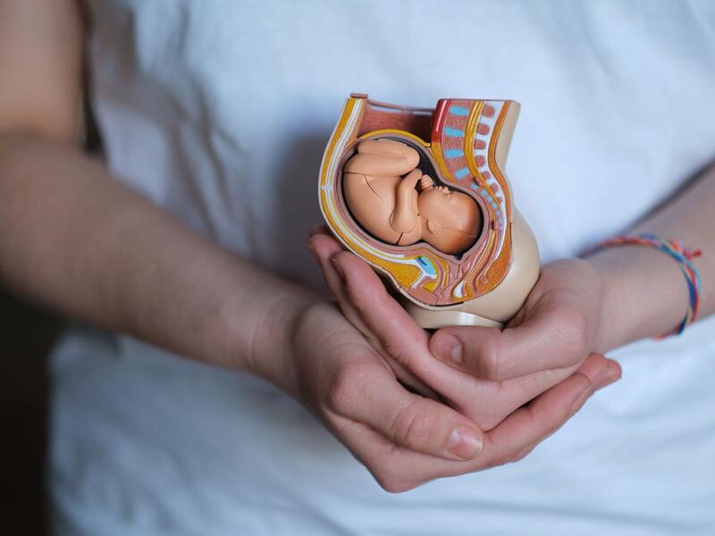 AdobeStock 585085449